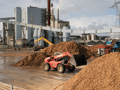Wood and biomass fuel pellets production