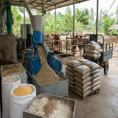 Vietnam Custom Mix Cattle Pellet Machine Output