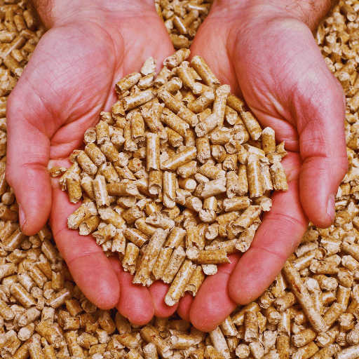 2 t/h Palm EFB Pellet Plant Malaysia