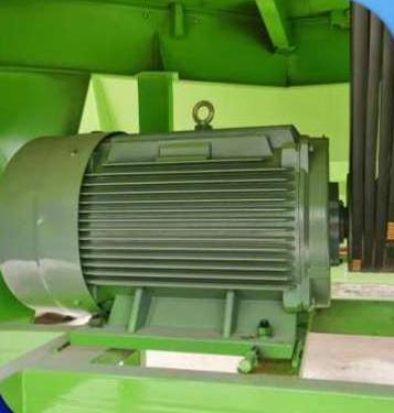 Representative electric motor detail